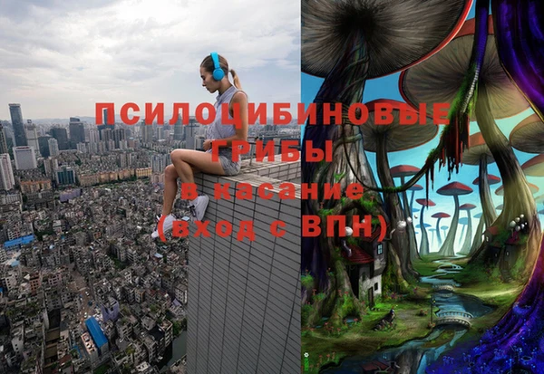 мяу мяу мука Аркадак