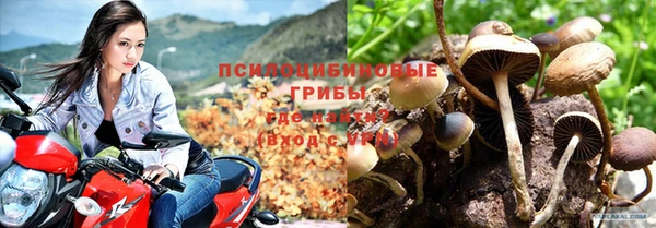 мяу мяу мука Алзамай