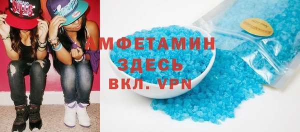 мет Алексин