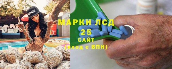 мяу мяу мука Алзамай