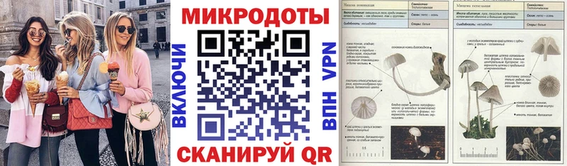 дарнет шоп  Белорецк  Галлюциногенные грибы Psilocybine cubensis 