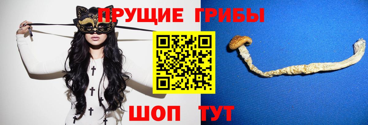 купить  цена  Псилоцибиновые грибы GOLDEN TEACHER  Вход с VPN  Белорецк 